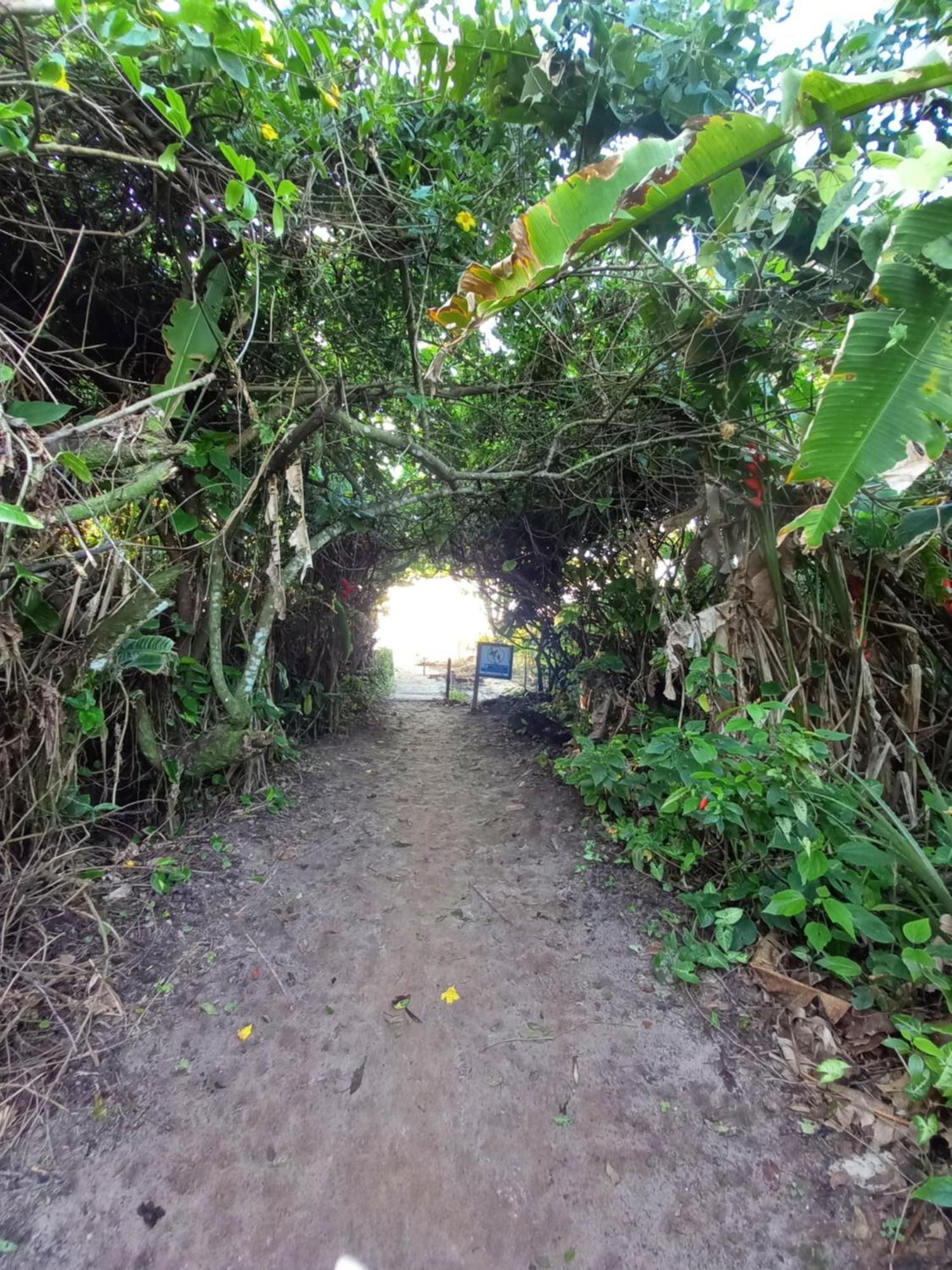 Suite No Condominio Itamambuca - Muito Perto Da Praia !!! Ubatuba Exteriör bild