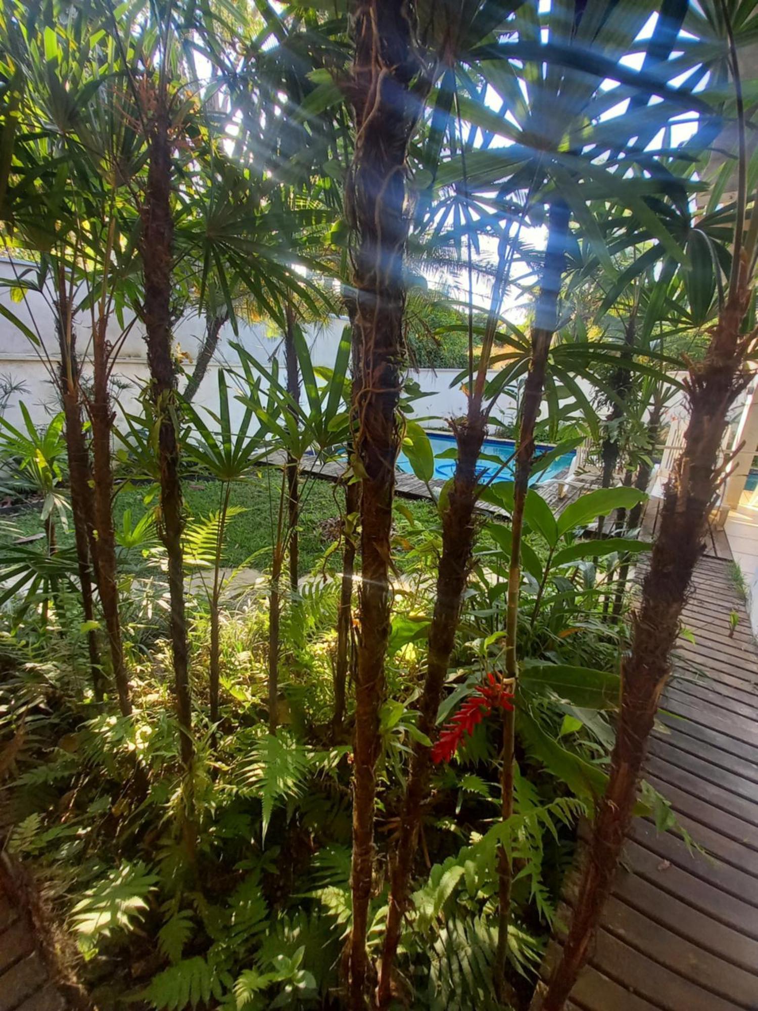 Suite No Condominio Itamambuca - Muito Perto Da Praia !!! Ubatuba Rum bild