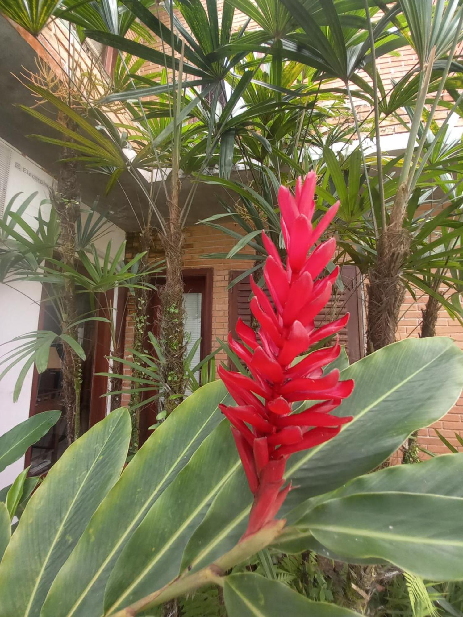 Suite No Condominio Itamambuca - Muito Perto Da Praia !!! Ubatuba Exteriör bild
